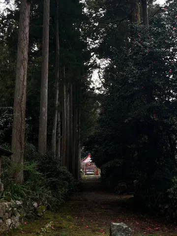 古の道、静寂の先