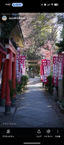 赤と緑のコントラスト、神聖なる参道