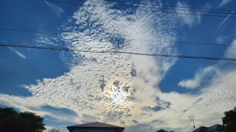 雲と電線と太陽のコントラスト