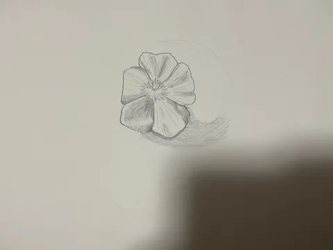 静寂に咲く花、淡い陰影の囁き