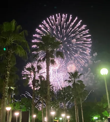 ヤシの木と夜空の花火