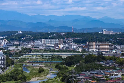 緑と街並みが調和する風景