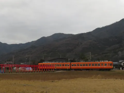山を背景に走るオレンジ色の電車