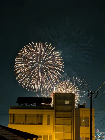 夜空を彩る光の華