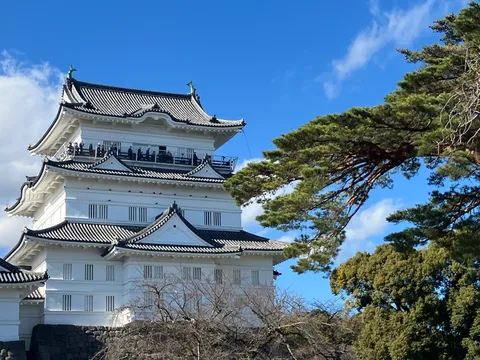 白と黒の風情が踊る城