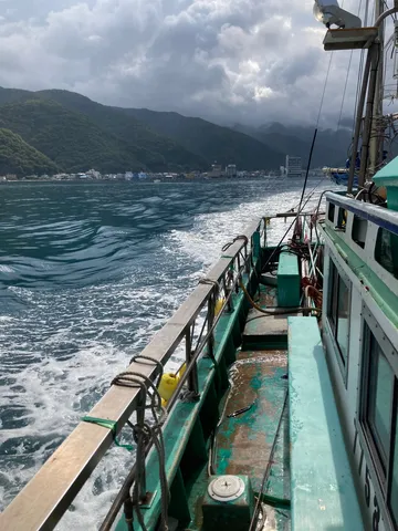 船上から見つめる緑の山々と青い海