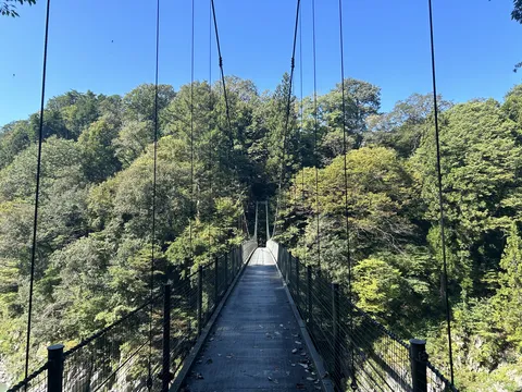 森に吸い込まれる吊り橋