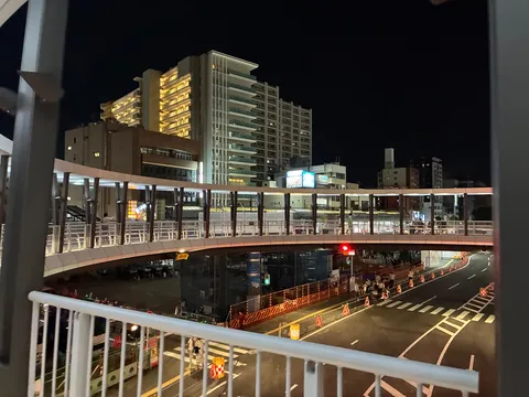 夜の歩道橋に映る都市の輪郭