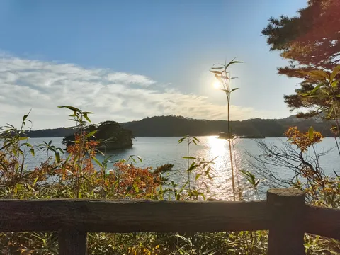 陽光きらめく水辺の情景
