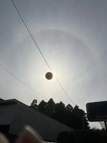 電線に縁取られた太陽の輪