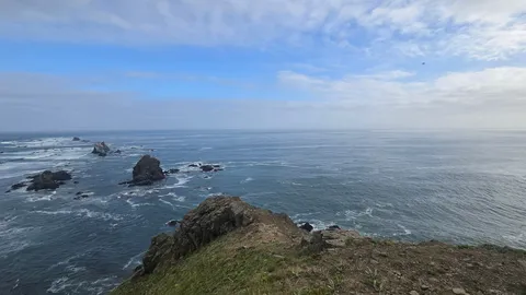荒々しい海と大地のコントラスト