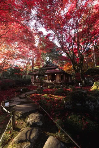 紅葉が本気出した庭園