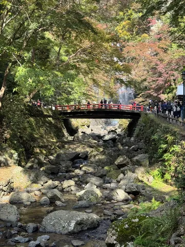 秋色に染まる橋と渓谷