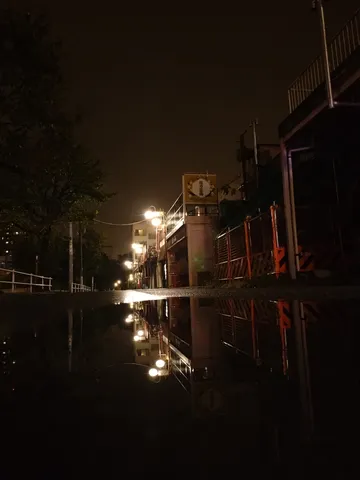 夜道の光と水鏡