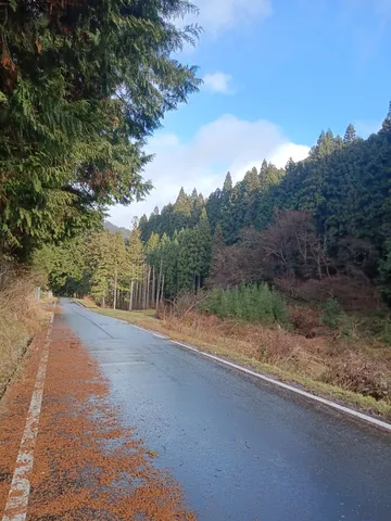 山道