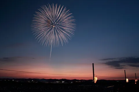 夜空に咲く大輪の花