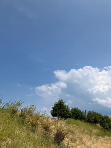 晴れ間を縫って舞う鳥たち