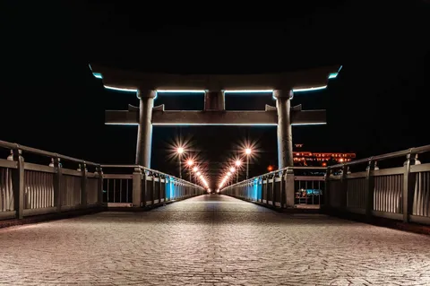 夜の鳥居を抜ける光