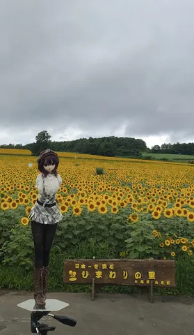 ひまわり畑の静かな異物感