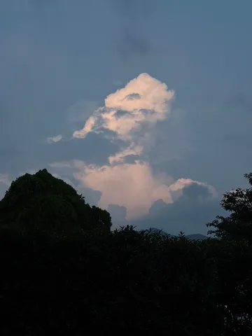 雲の造形美と森の静寂