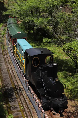 緑の中を走る蒸気列車