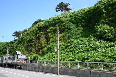緑豊かな崖下の駅
