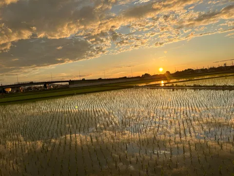 水鏡に映る茜色の空