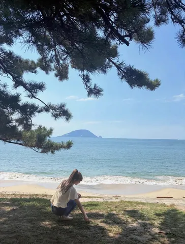 海を包む木陰の静けさ