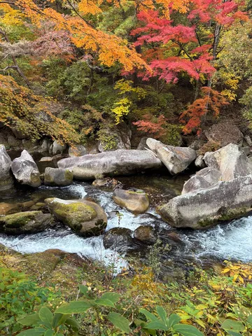 深まる秋、岩清水のせせらぎ