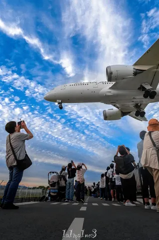 空へ近づく視線の軌跡