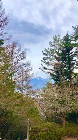 木漏れ日と山並みの静寂