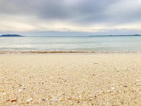砂浜と波打ち際の穏やかな時間