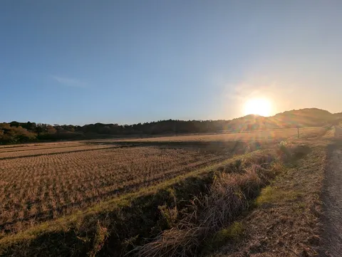 茜色の夕陽と、刈り取られた田んぼの静寂