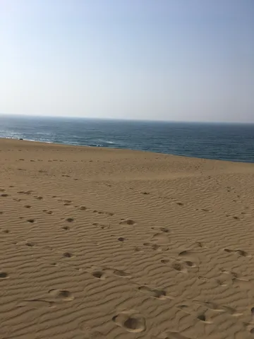 砂丘に残る小さな足あと