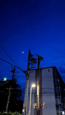 月明かりと電線の夜