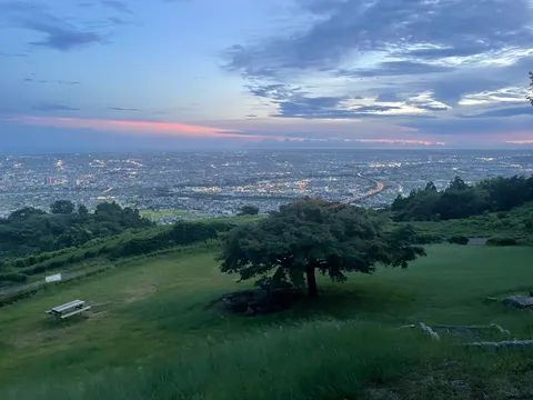 夜景と風に揺れる木影