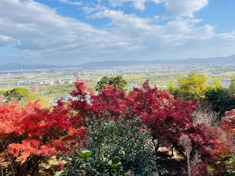 燃える紅葉と広がる街並み