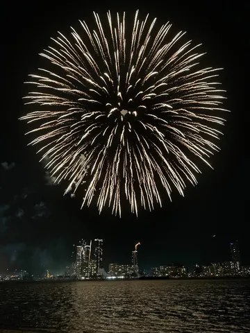 夜空に咲く光の大輪