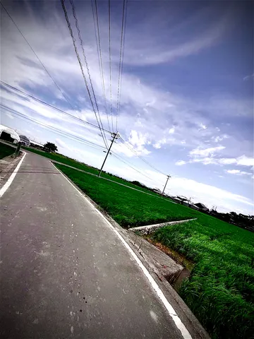 青空と緑、電線が織りなす風景