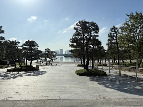 青空の下、並木道の眺め