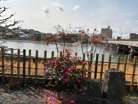 春を待つ川辺の彩り