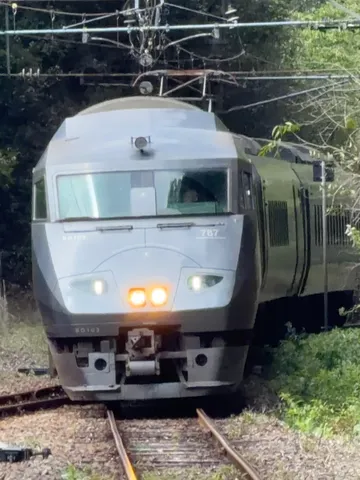 迫る！緑の中の銀色特急