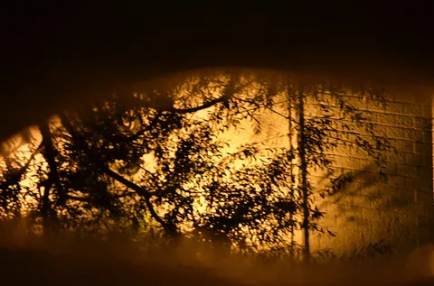 夜の壁に映る木漏れ日