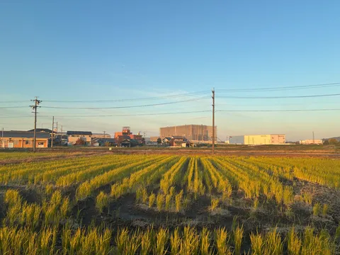 夕陽が照らす田園と街並み