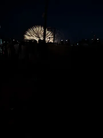 夜空に咲く光の花束