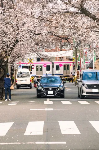 桜の向こうの踏切