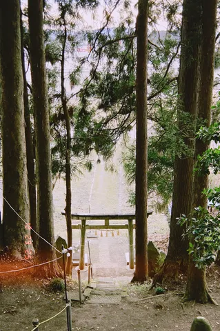 静寂に包まれた神聖な参道