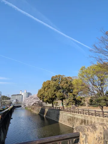 春を彩る水辺の小道