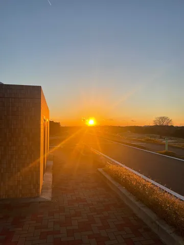 夕焼けのビルと道