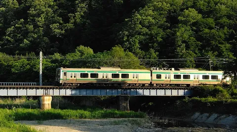 緑映える単線列車の旅